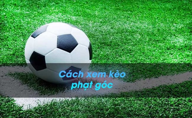 Cách xem kèo phạt góc như thế nào?